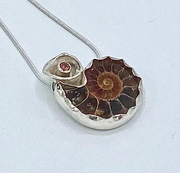 Ammonite & Chocolate Zircon picture