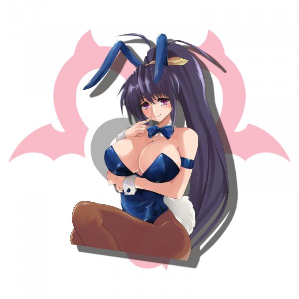 Highschool DXD BunnyGirls (7 Options) picture