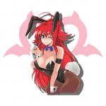 Highschool DXD BunnyGirls (7 Options)