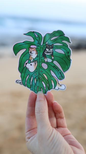 Monstera sticker picture