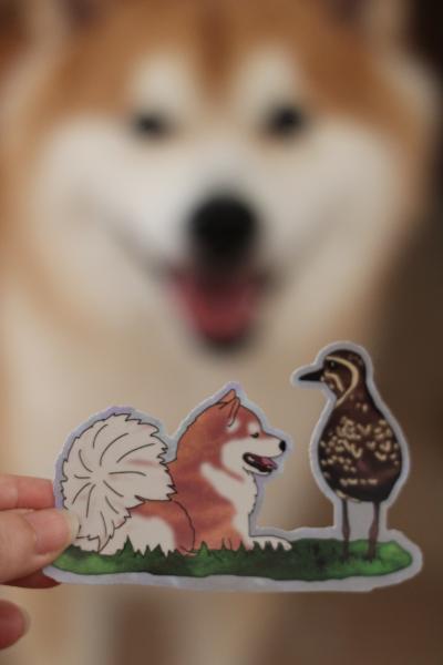 Kolea and Breeze sticker picture