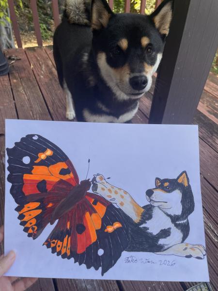 Butter and the Butterfly sticker