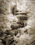 Fallingwater