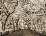 Central Park Promenade
