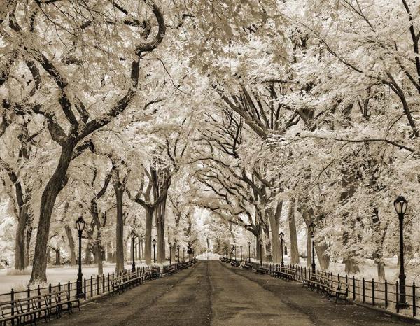 Central Park Promenade