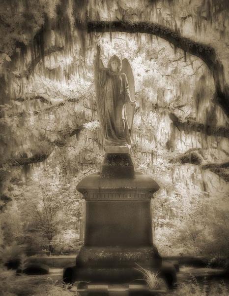 Jenny's Angel