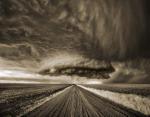Lark's Storm