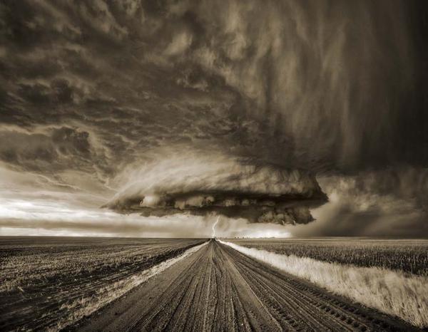 Lark's Storm