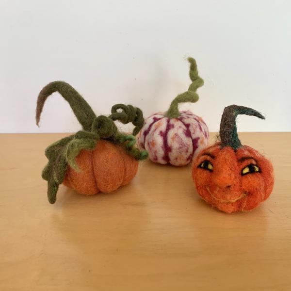 Needle Felted Pumpkin and Jack-o'Lantern Kit with Video Tutorials