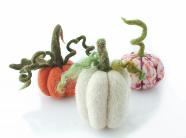 Needle Felted Pumpkin and Jack-o'Lantern Kit with Video Tutorials picture