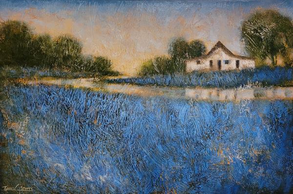 Blue Shutters