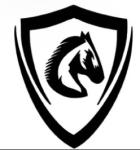 Crazy Horse Hobby