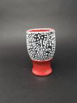 Red and Black Tumbler