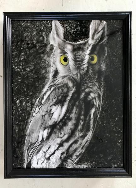 Owlistaire