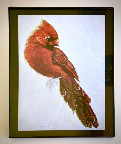 Card Cardinal