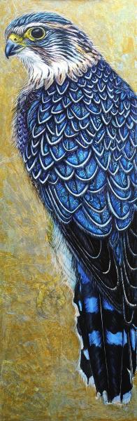 Rigel