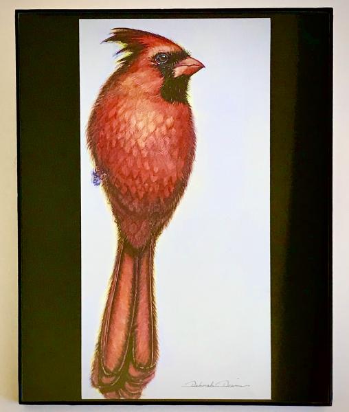 Cardinal M1