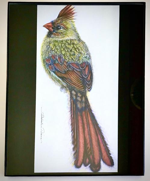 Cardinal F1