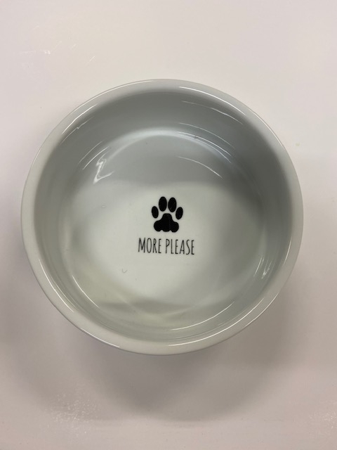 Large Tampa Dog Bowl picture