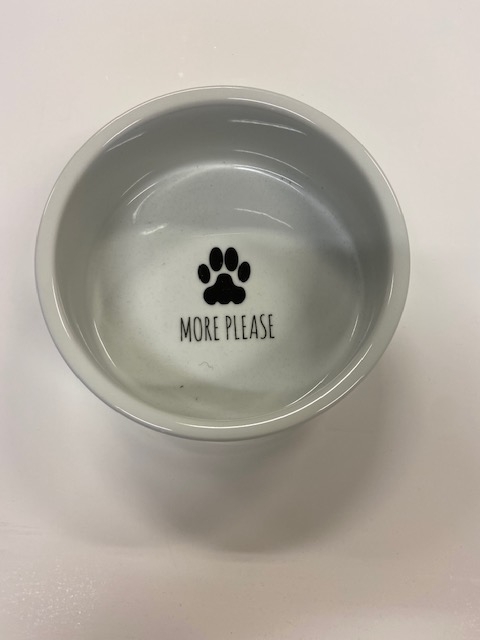 Small Tampa Dog Bowl picture