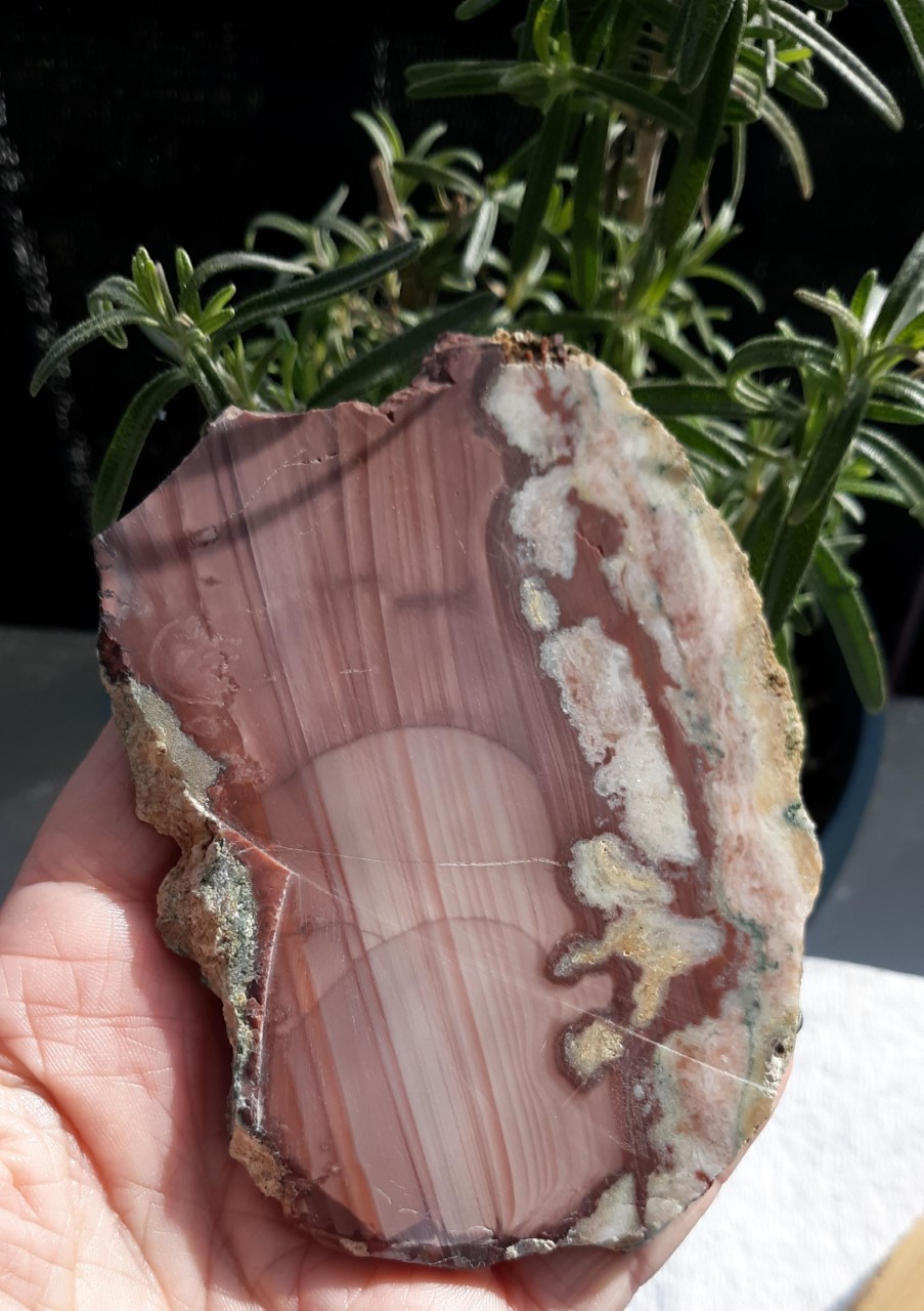 Imperial Jasper Slab, Gorgeous & Rare picture