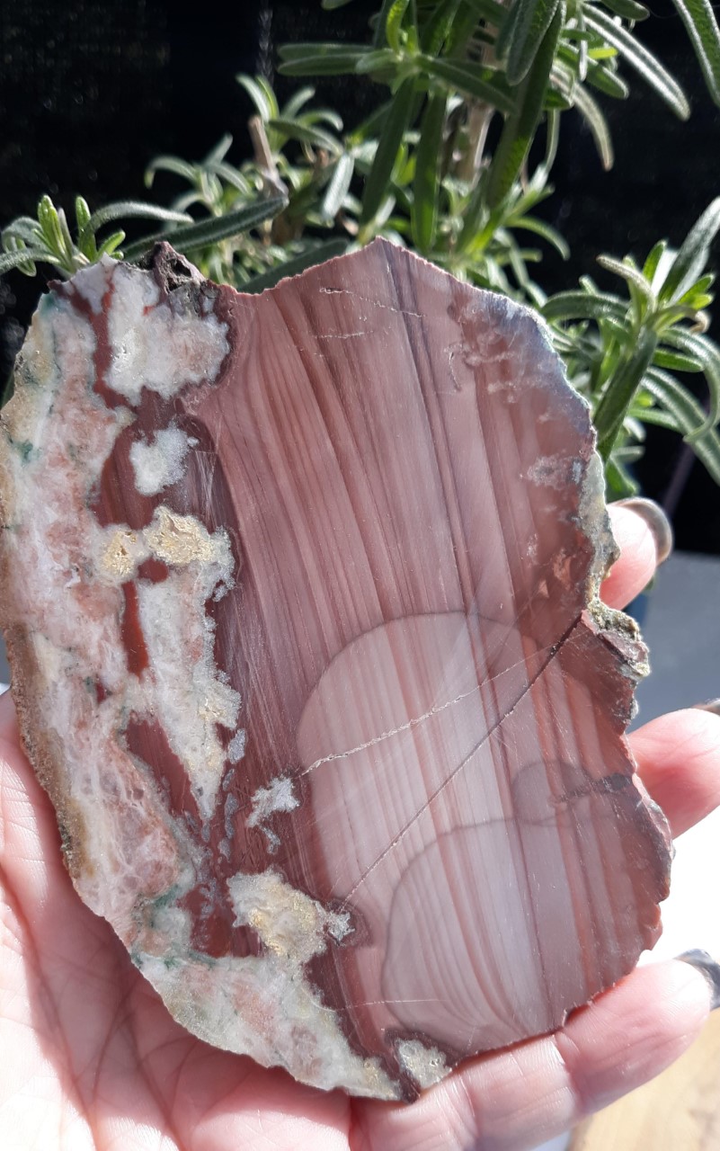 Imperial Jasper Slab, Gorgeous & Rare picture