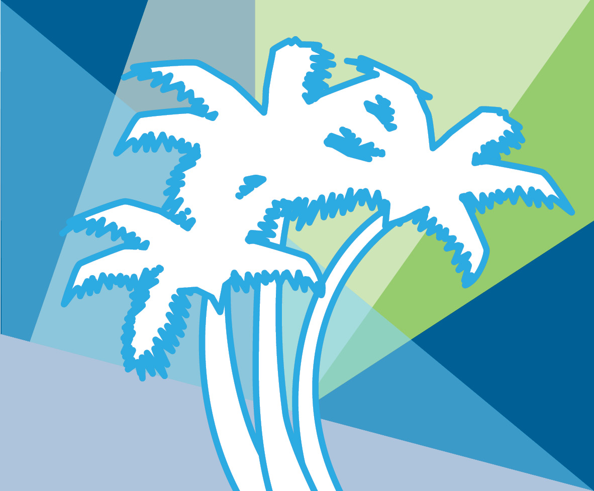 PALMETTO DOWNTOWN MAIN STREET INC