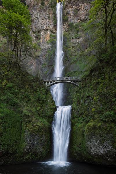 Multnomah Falls picture