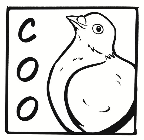 The Pigeon's Coo