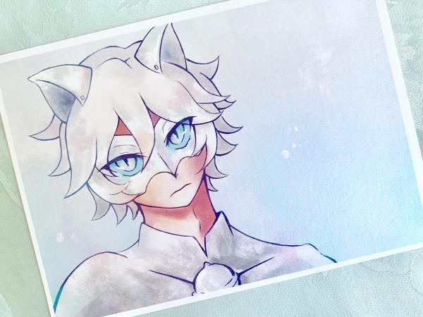 Chat Blanc postcard print picture