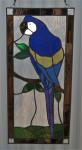 A Mighty Macaw