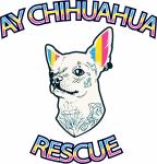 Ay Chihuahua Rescue