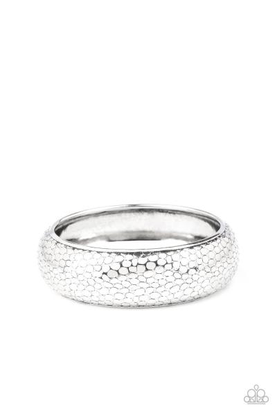 Paparazzi Accessories Urban Wildlife - Silver picture