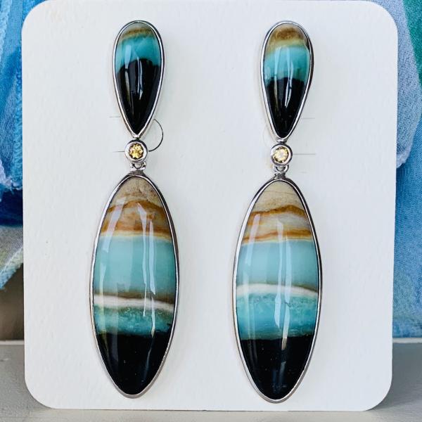 Petrified palm earrings - sold picture