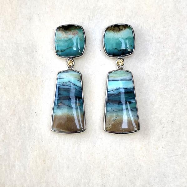 Blue Opalized Palm and Citrine earrings picture