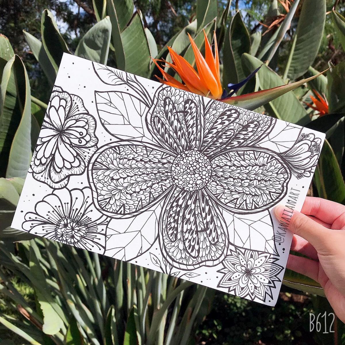 Brushpen Drawings 6x9 picture