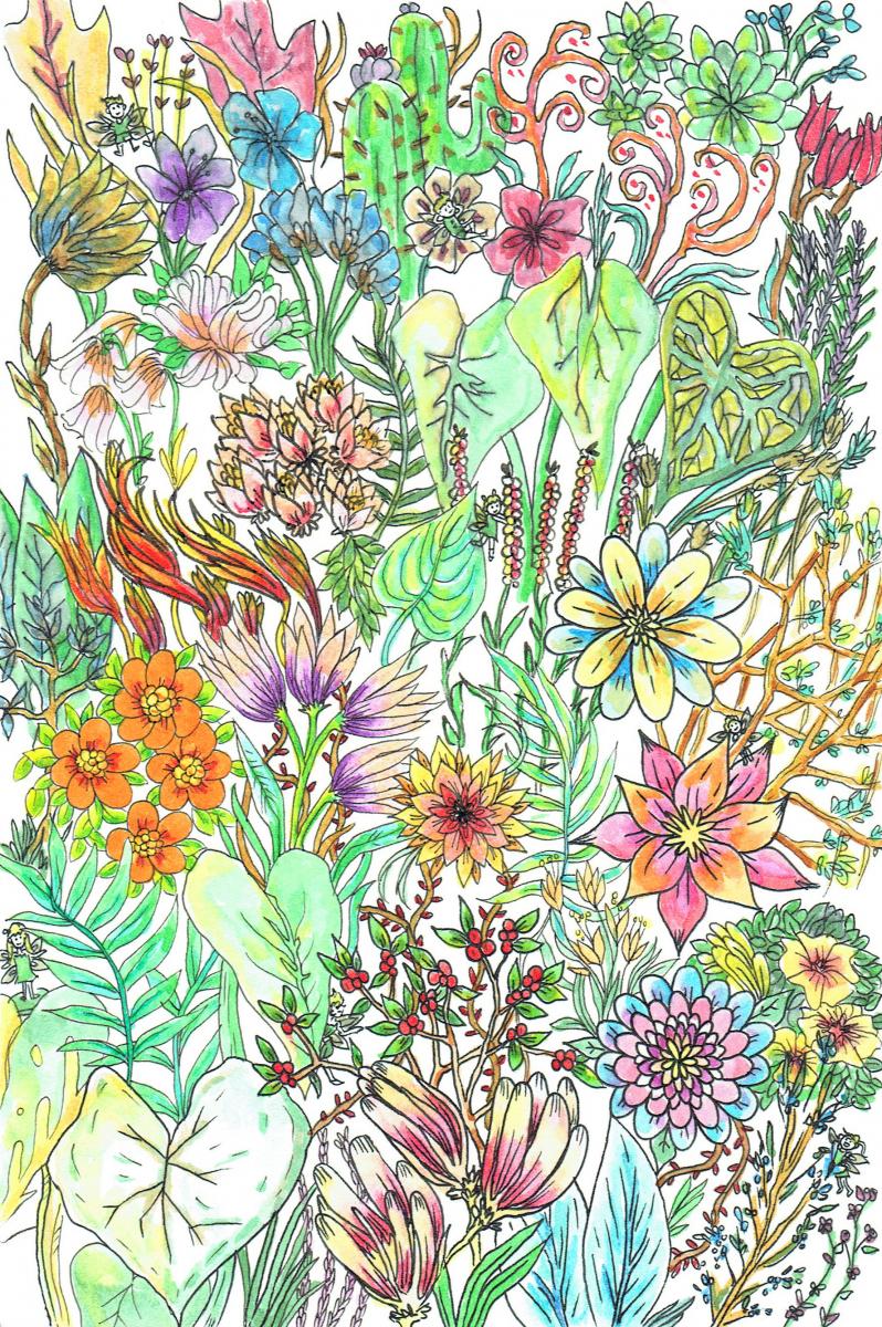 Brushpen Drawings 6x9 picture