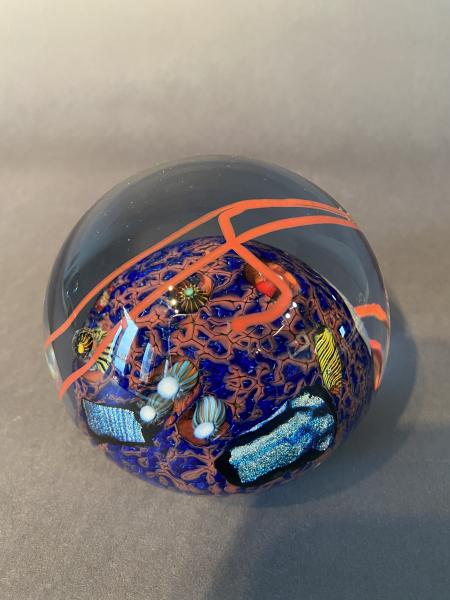 Coral Reef Paperweight picture