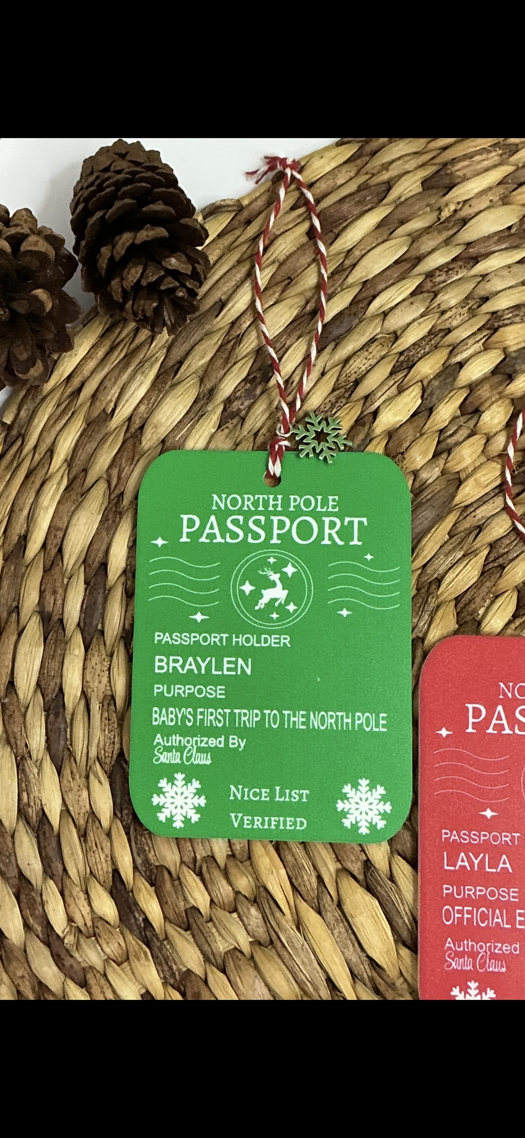 Christmas Passport picture