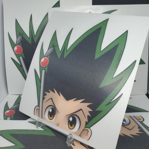 Gon picture