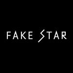FAKE STAR USA