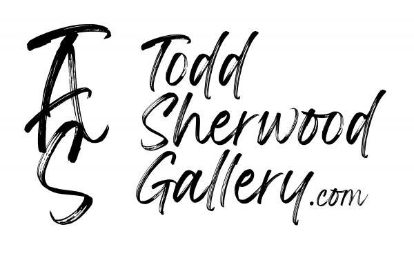 Todd Sherwood Gallery