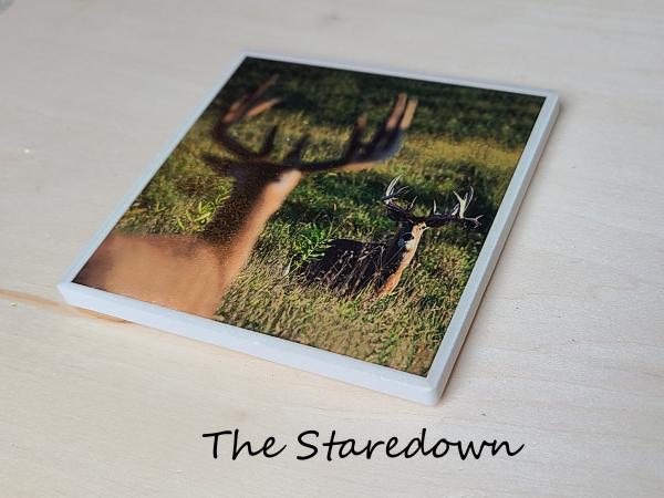 Wildlife Ceramic Coasters picture