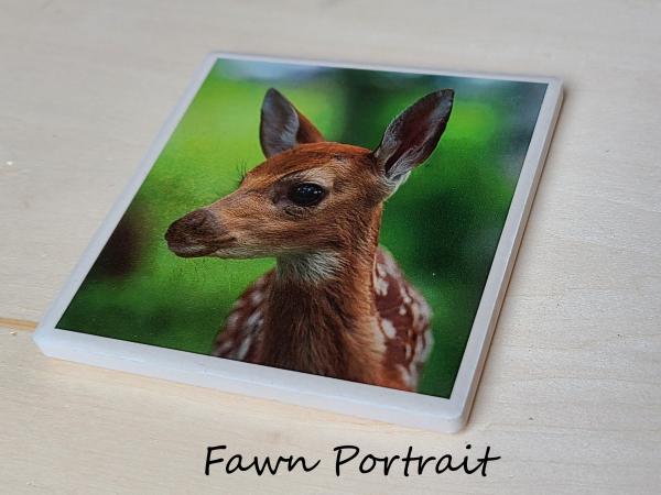 Wildlife Ceramic Coasters picture