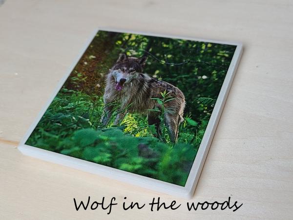 Wildlife Ceramic Coasters picture