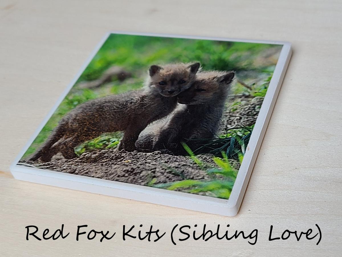 Wildlife Ceramic Coasters picture