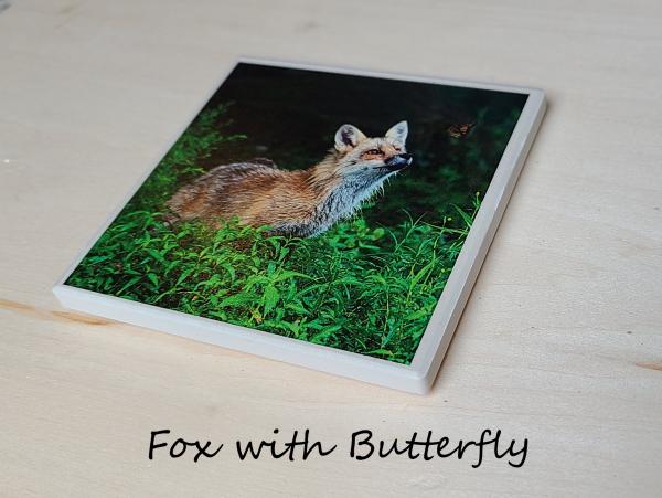 Wildlife Ceramic Coasters picture