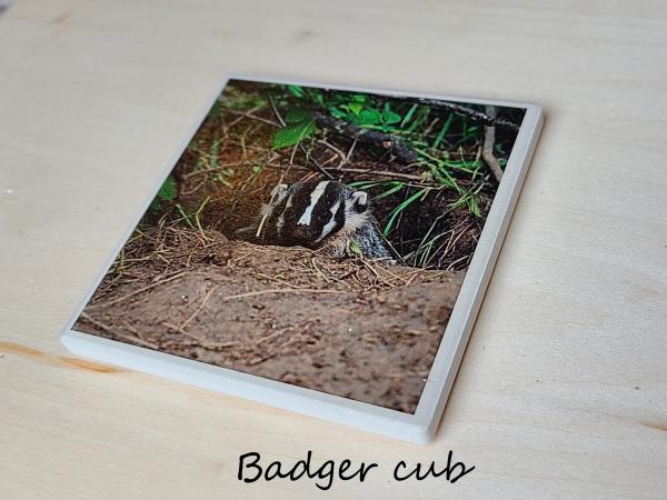 Wildlife Ceramic Coasters picture