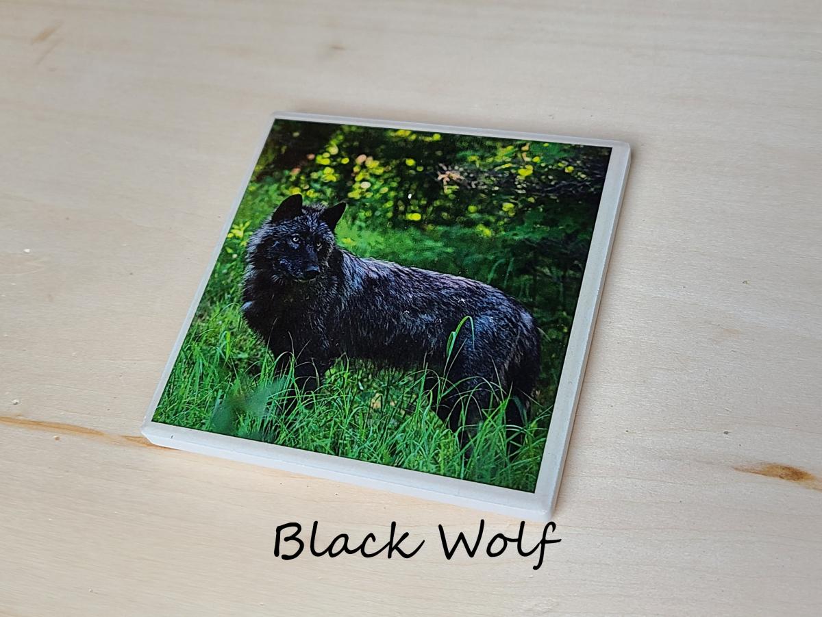 Wildlife Ceramic Coasters picture