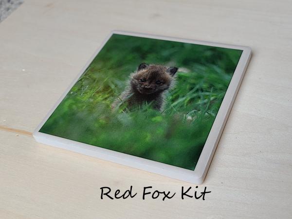 Wildlife Ceramic Coasters picture